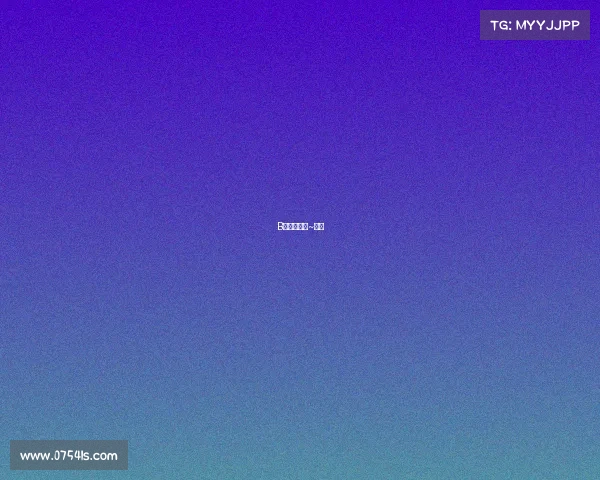 B级车标杆之~迈腾